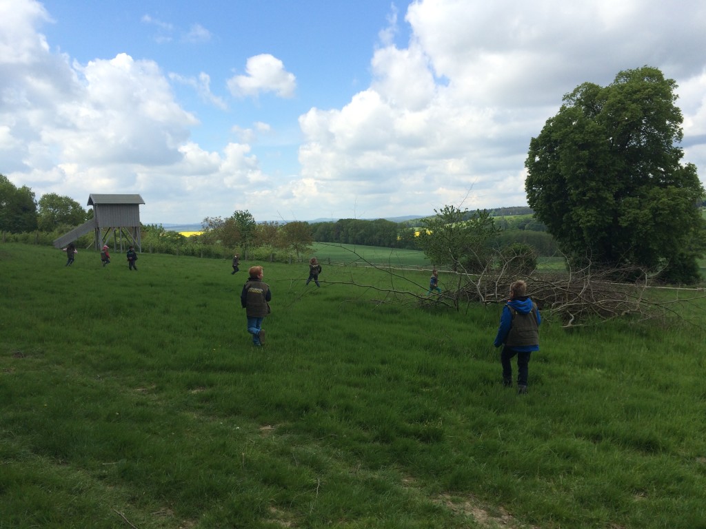 Wiese zum Spielen und zum Erforschen des Lebensraumes dort