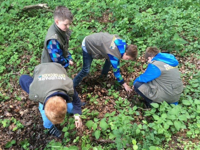 Untersuchen des Waldbodens